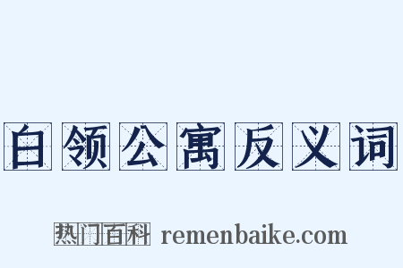 白领公寓反义词是什么意思的图片